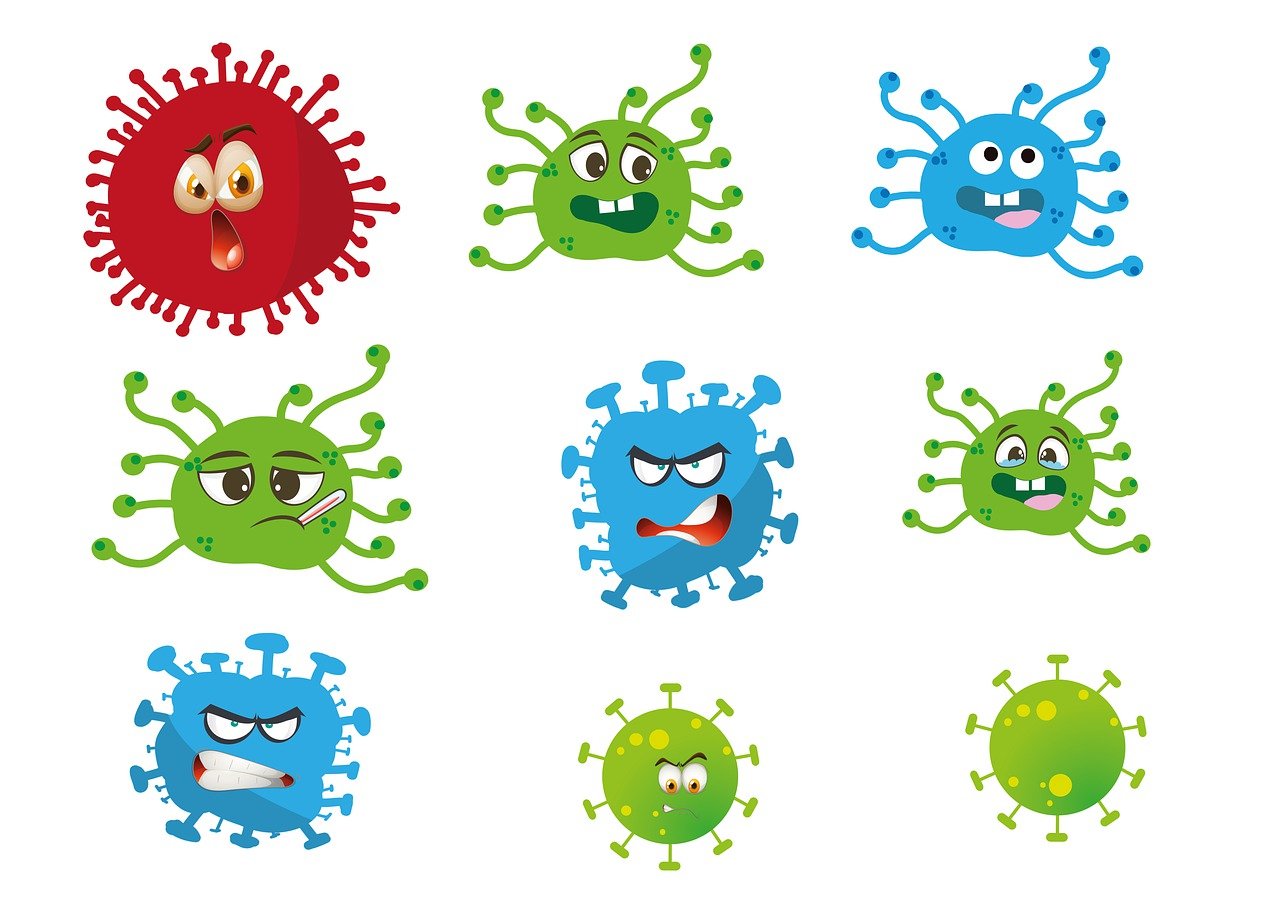 entdecken sie, wie das immunsystem funktioniert, welche aufgaben es übernimmt und wie sie ihre abwehrkräfte auf natürliche weise stärken können. informative tipps & trends rund um ihre gesundheit.