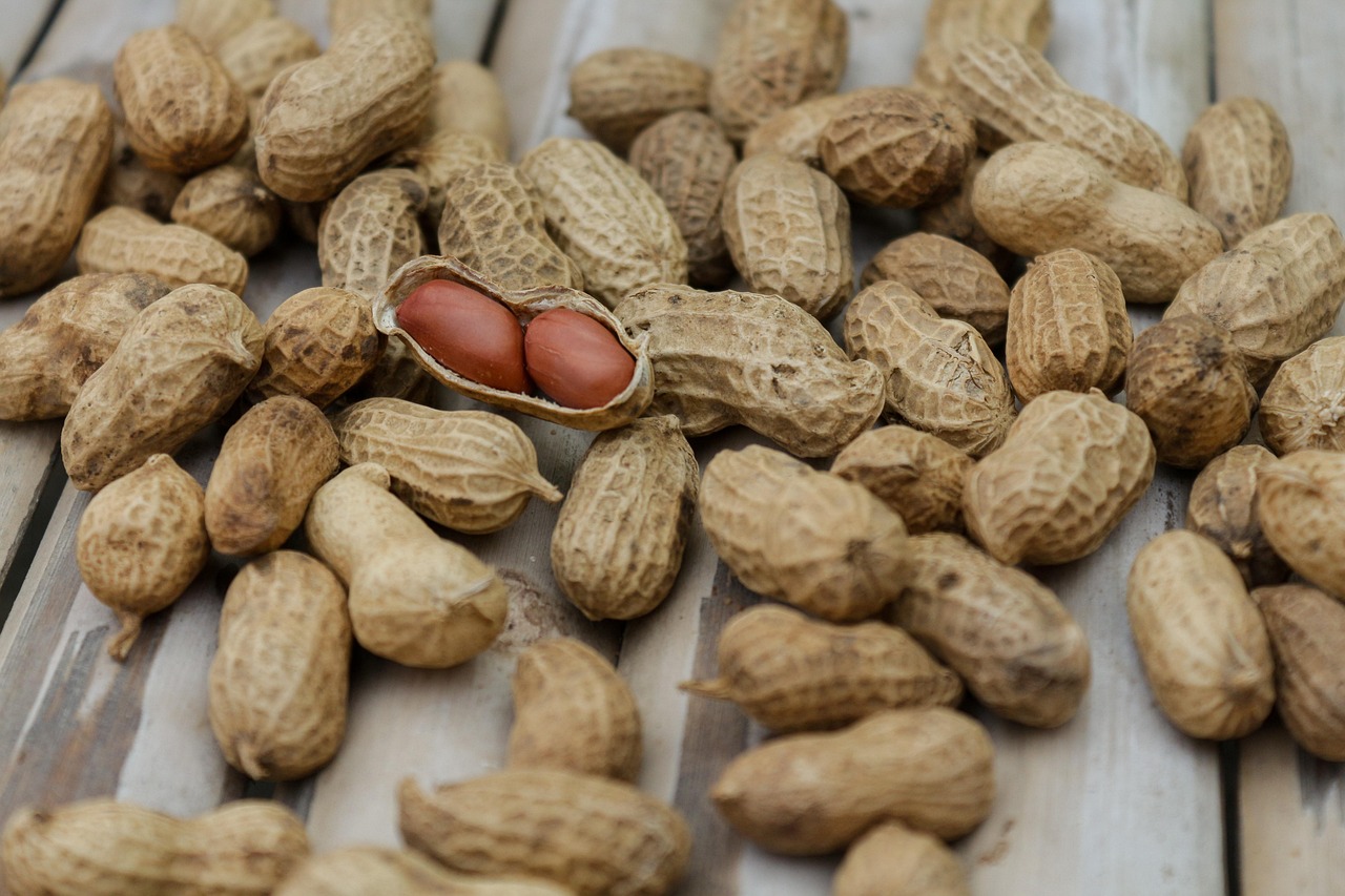 entdecken sie die wahrheit hinter den häufigsten ernährungsmythen. wir klären missverständnisse auf und liefern wissenschaftlich fundierte fakten für eine gesunde ernährung.