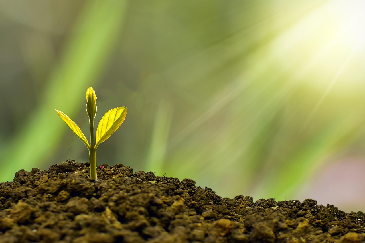 entdecken sie nachhaltiges investieren: erfahren sie, wie sie ihr geld verantwortungsvoll anlegen, umwelt und gesellschaft unterstützen und gleichzeitig renditen erzielen können. tipps, trends und strategien für nachhaltige investments.